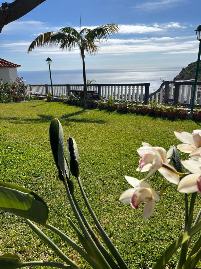 Tropical Garden Villa Arco da Calheta  Eksteriør billede