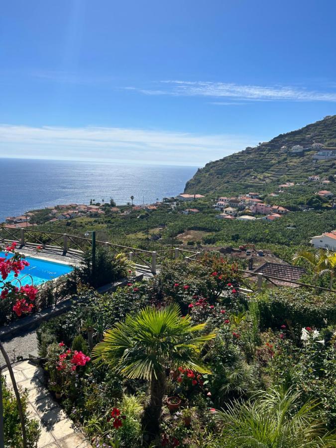 Tropical Garden Villa Arco da Calheta  Eksteriør billede