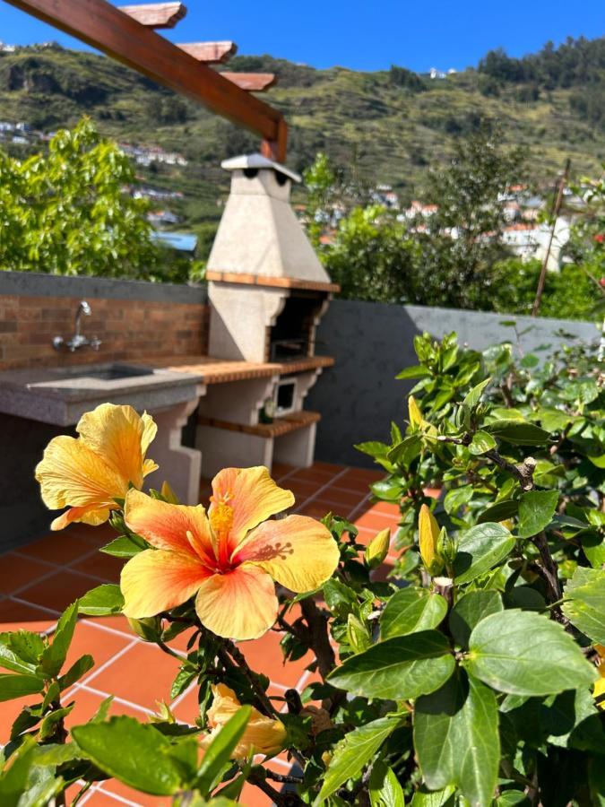 Tropical Garden Villa Arco da Calheta  Eksteriør billede